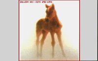COLT02.BMP