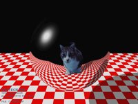 CATSEYE.BMP