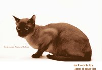 CATMINK.BMP