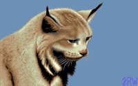 CATLUK.BMP