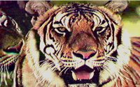CAT2ST.BMP