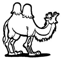 CAMEL_3M.BMP