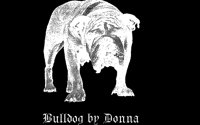 BULLDOG.BMP