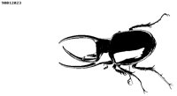 BUG2.BMP