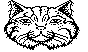 BOBCAT.BMP