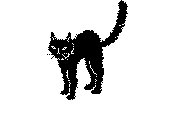 BLKCAT.BMP