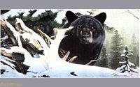 BLCKBEAR.BMP
