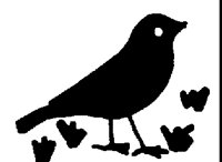 BLAKBIRD.BMP