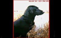 BKLAB02.BMP