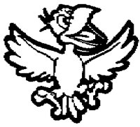 BIRD__1M.BMP