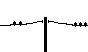BIRDS.BMP