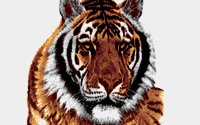BIGCAT.BMP
