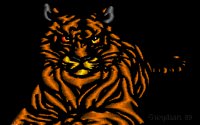 BENGAL3.BMP