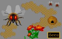 BEES.BMP