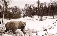 BEAR1.BMP