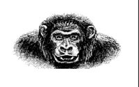 APE.BMP