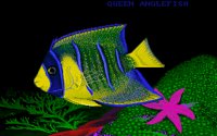 ANGLFISH.BMP