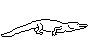 ALIGATOR.BMP