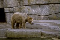 8040.BMP