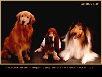 3DOGS.BMP
