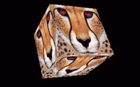 3DCAT.BMP