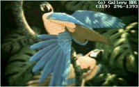 2PARROTS.BMP