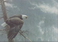 1_EAGLE.BMP