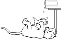 133.BMP