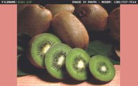 KIWI.BMP