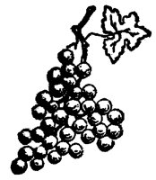 GRAPE8P7.BMP