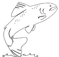 FISH_7I9.BMP