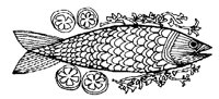 FISH_7I8.BMP