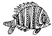 FISH_7I7.BMP