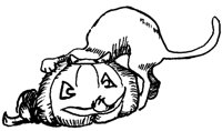 CAT_5Y1.BMP