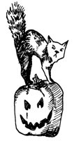 CAT_3F1.BMP