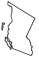 BC.BMP