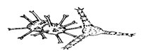 STARU3A8.BMP