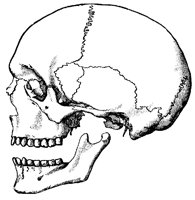 SKULL8R3.BMP