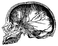 SKULL8R2.BMP