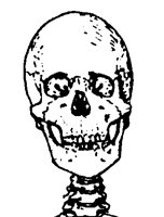 SKULL2S4.BMP