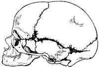 SKULL2F1.BMP