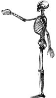 SKELE8R1.BMP