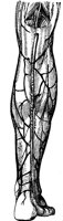 LEG_2F6.BMP