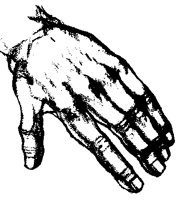 HAND_2P3.BMP