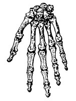 HANDS2R4.BMP