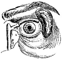 EYE_9B7.BMP