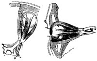 EYEMU9B5.BMP