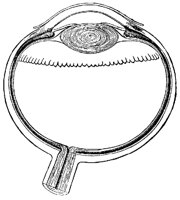 EYEBA9B1.BMP