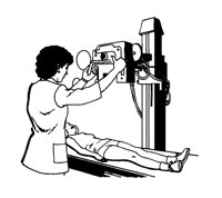 AN_X_RAY.BMP