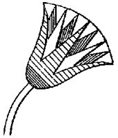 TULIP0O5.BMP